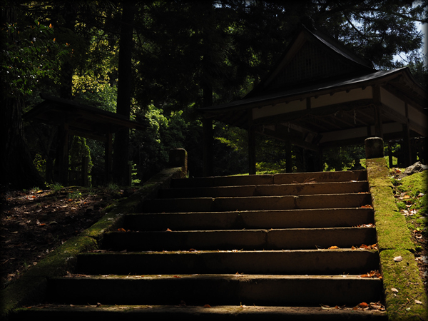日向神社の石段