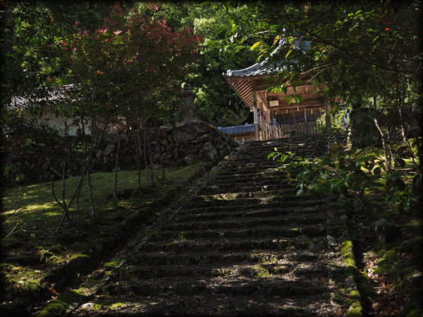 都々古和気神社の石段