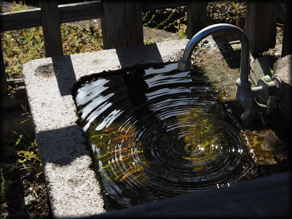 日吉神社 社前の手水舎