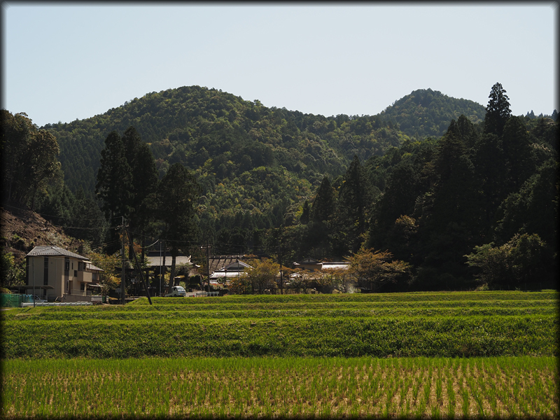 竹井側から見た摩気神社と胎金寺山（右奥）