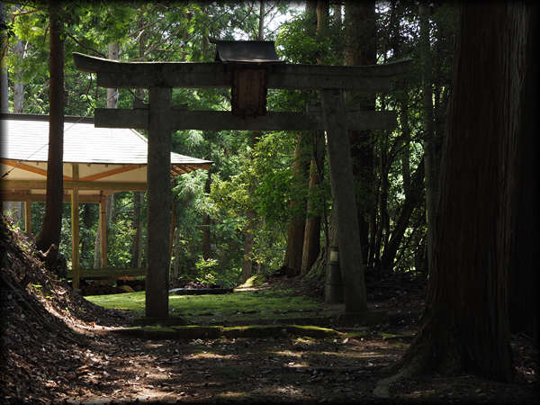 深い森の中の山道の先に春日神社の鳥居
