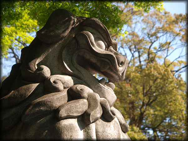 寒川神社の狛犬　厳しい横顔
